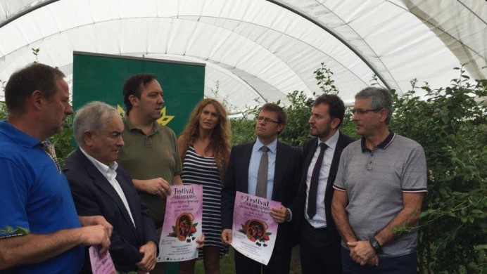 I Festival de los Frutos Rojos - Concejo de Villaviciosa