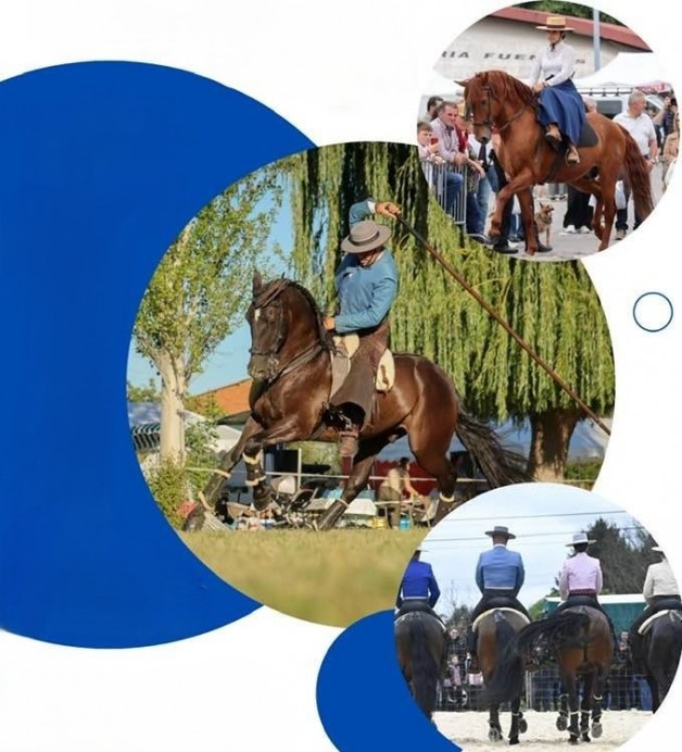 Llanes celebra el Festival Rociero con espectáculos ecuestres, música flamenca y feria popular - Concejo de Llanes