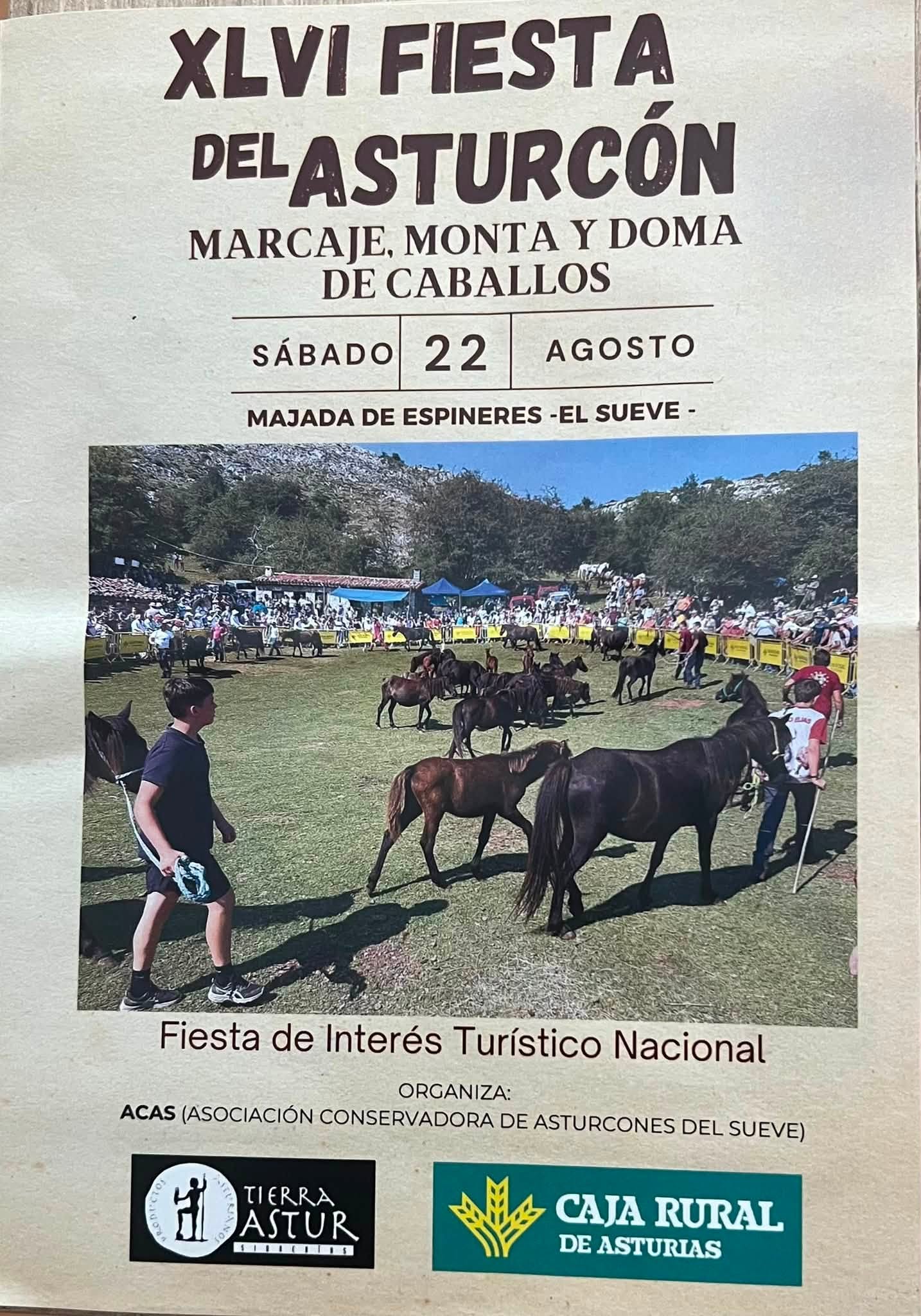 La Fiesta del Asturcón celebra el sábado 22 de agosto su 46 edición en la Sierra del Sueve - Comarca del Sueve