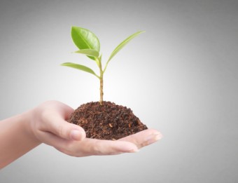 Charla informativa sobre el uso de productos fitosanitarios - Ecología y Medioambiente