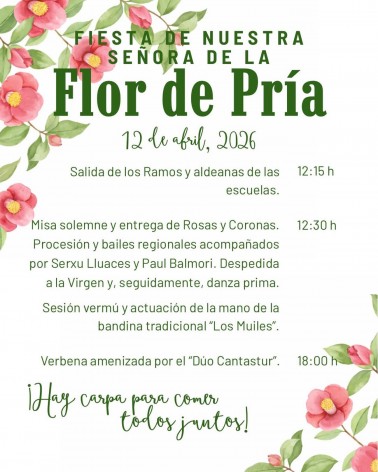 La Flor de Pría 2026 - Concejo de Llanes
