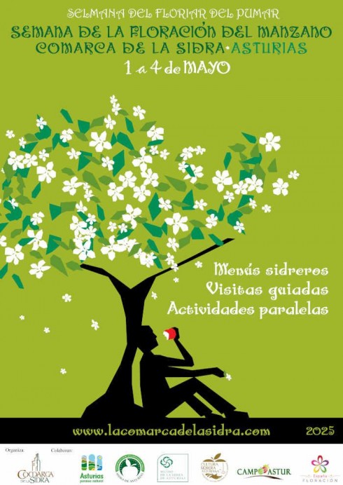 Disfruta de la primavera en la Comarca de la Sidra con la floración de los manzanos - Comarca de la Sidra