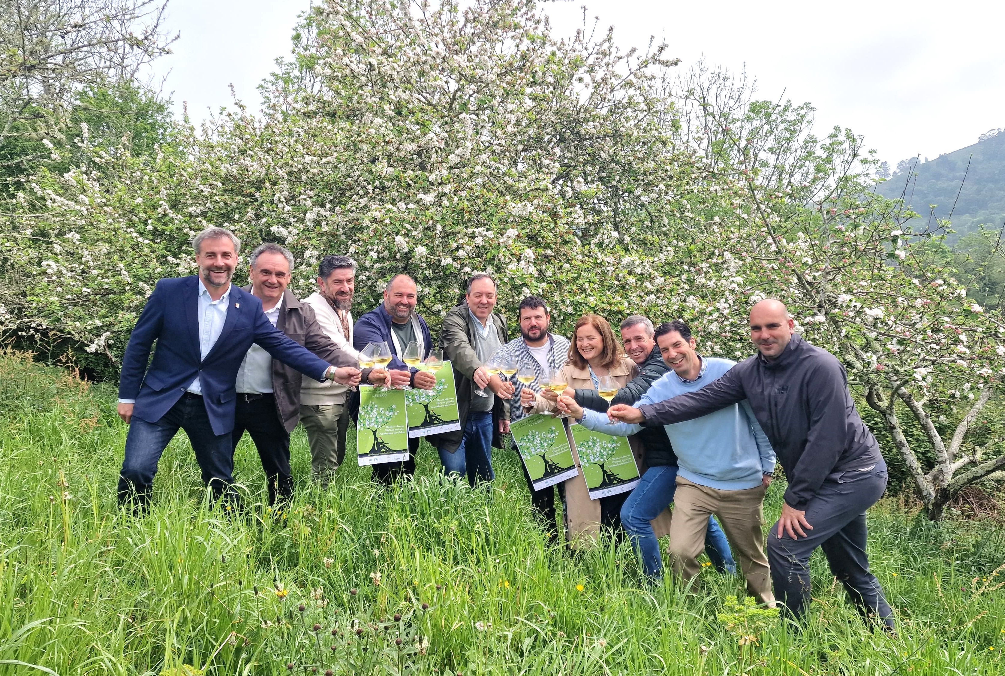 Asturias se viste de blanco y rosa con la floración del manzano en la Comarca de la Sidra - Comarca de la Sidra