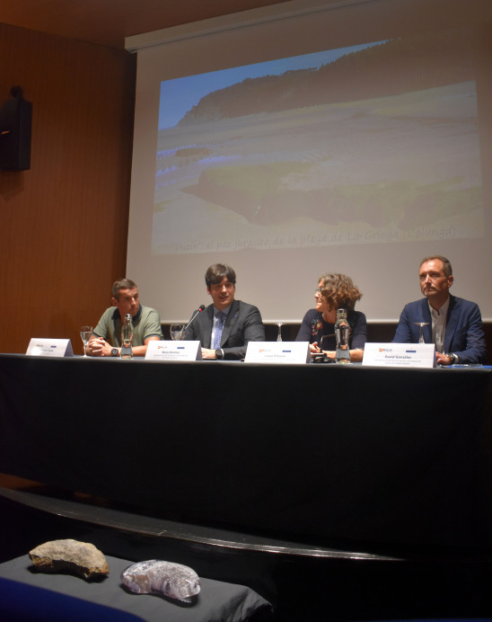 El MUJA incorpora a su exposición el fósil de un pez jurásico y su impresión en 3D - Concejo de Colunga