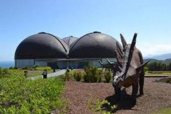 Descubriendo La Costa de los Dinosaurios” en el Jardín del MUJA - Concejo de Colunga