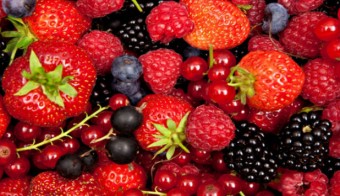 Cursillos sobre Frutos Rojos y Kiwi - Educación