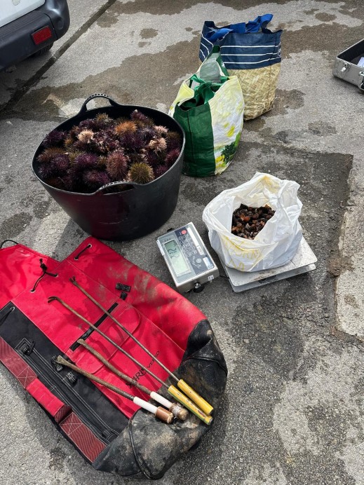 Agentes de Inspección y Vigilancia Pesquera interceptan en Ribadesella a un furtivo con 40 kilos de oricios y dos de percebes - Concejo de Ribadesella