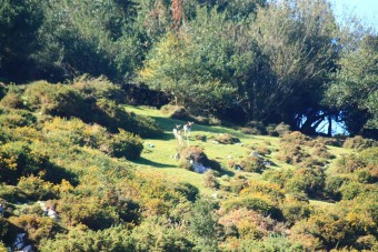 Agenda de actividades del CI Sierra del Sueve para el puente de la Constitución - Concejo de Colunga