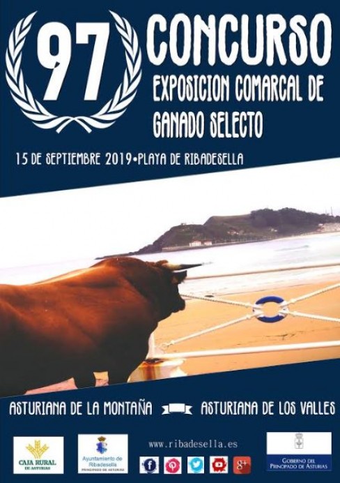 97 Concurso Ganado de Ribadesella - Concejo de Ribadesella
