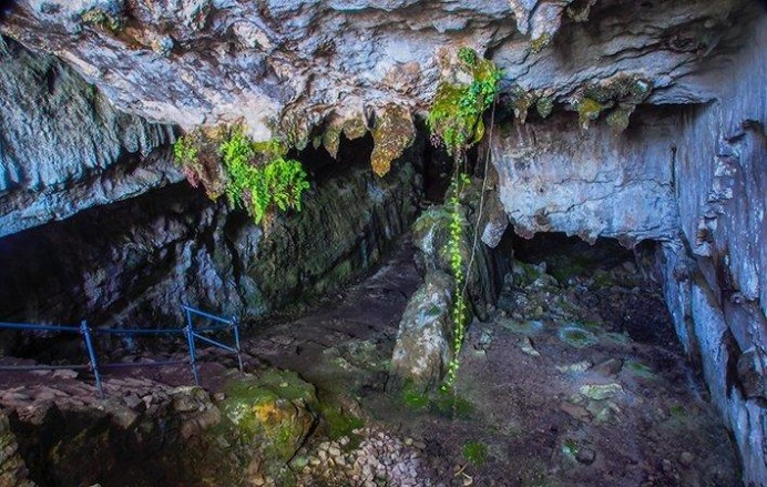 Cultura cierra de manera provisional a las visitas la cueva de El Pindal, en Ribadedeva, tras detectar la presencia de gas radón - Concejo de Ribadedeva