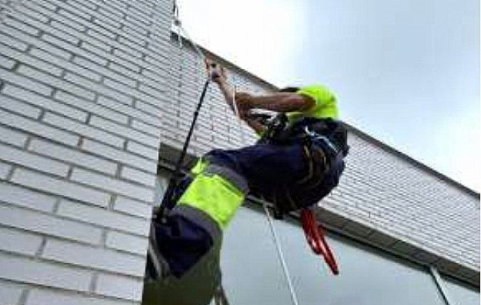 Fin segundo control gaviotas casco urbano de Llanes - Concejo de Llanes