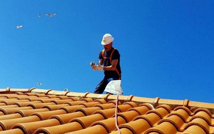 Casco urbano de Llanes, control gaviota patiamarilla - Concejo de Llanes