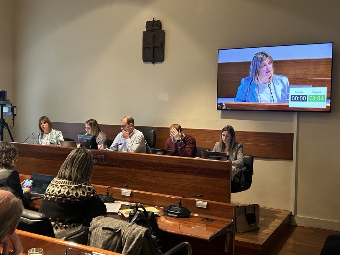 El Gobierno de Asturias avanza en la regulación de los pisos turísticos: la consulta para reformar la ley recibe una treintena de aportaciones - Asturias