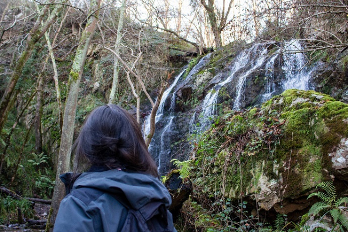 Cascadas de Guanga (desde Perlavia) - Rutas y sendas en el Principado de Asturias