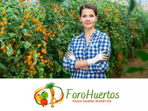 ¿Cómo elegir los mejores guantes para trabajar en tu huerto? - Moda y Tendencias