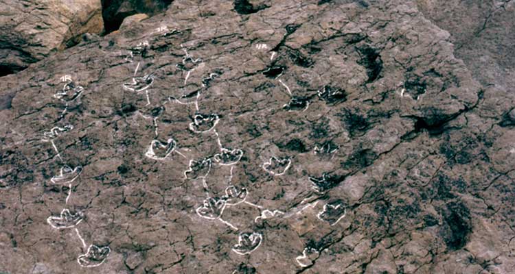 Visita a los acantilados de Tereñes con el equipo científico - Concejo de Ribadesella