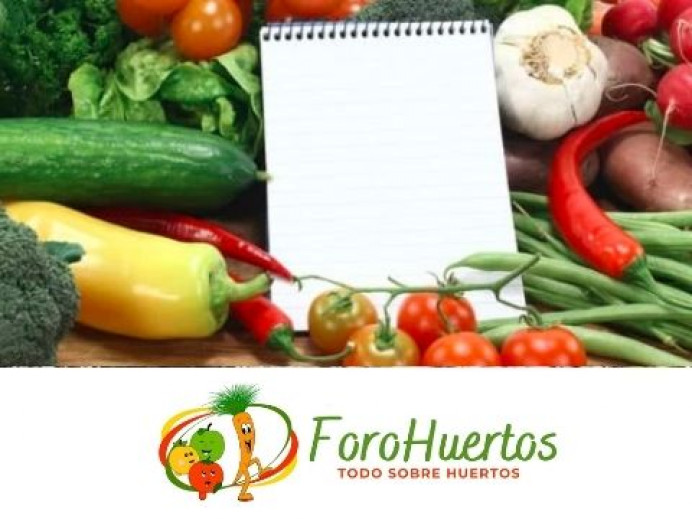 Enero: planifica tu huerta - Ecología y Medioambiente