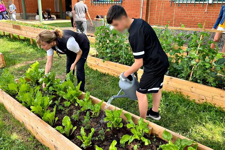 El IES de Luces y el CP Braulio Vigón celebran un acto de hermanamiento en Colunga en torno a los huertos escolares ecológicos - Concejo de Colunga