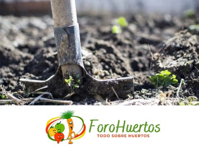 Prepara tu huerto para el otoño - Ecología y Medioambiente