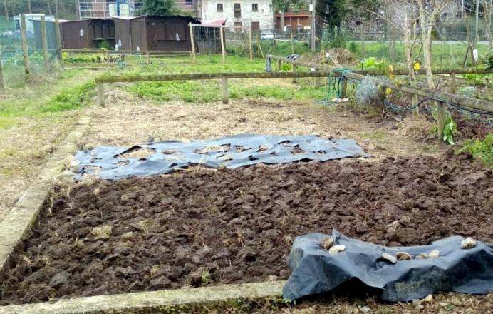 Plazo inscripciones para adjudicación de 3 huertos urbanos - Concejo de Llanes