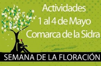 Semana de floración del manzano - Comarca de la Sidra
