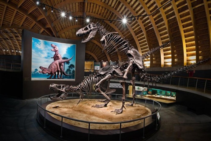 El Museo del Jurásico de Asturias presenta su programación de abril con talleres y actividades familiares