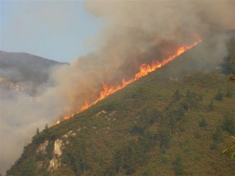 Asturias arde con la permisividad del Principado con los incendios provocados - Ecología y Medioambiente
