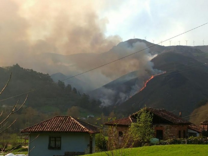 Mientras Asturias sigue ardiendo... - Ecología y Medioambiente