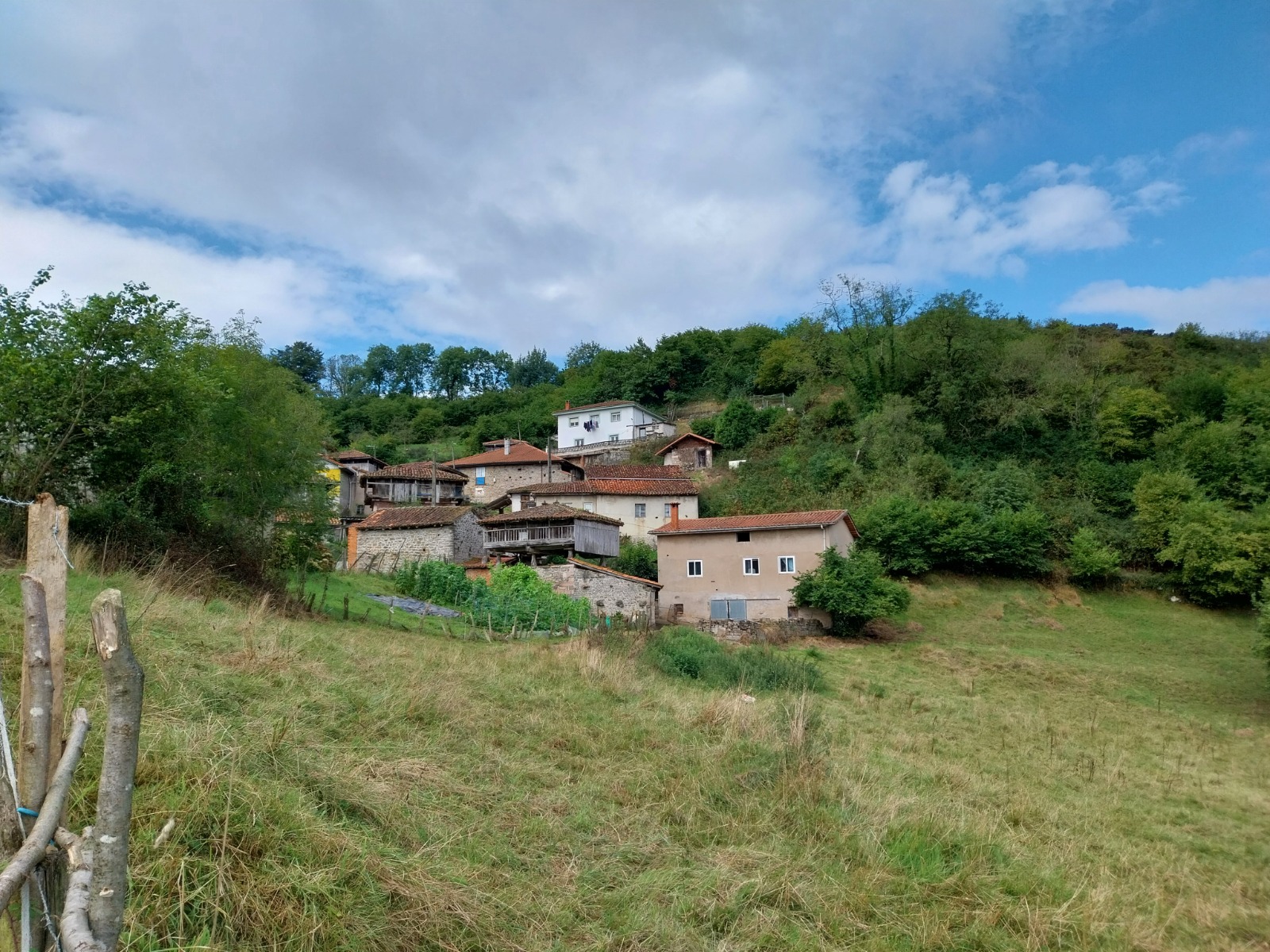 El Principado destina más de 650.000 euros al Oriente y la Comarca de la Sidra para prevenir incendios en la interfaz urbano-forestal - Asturias