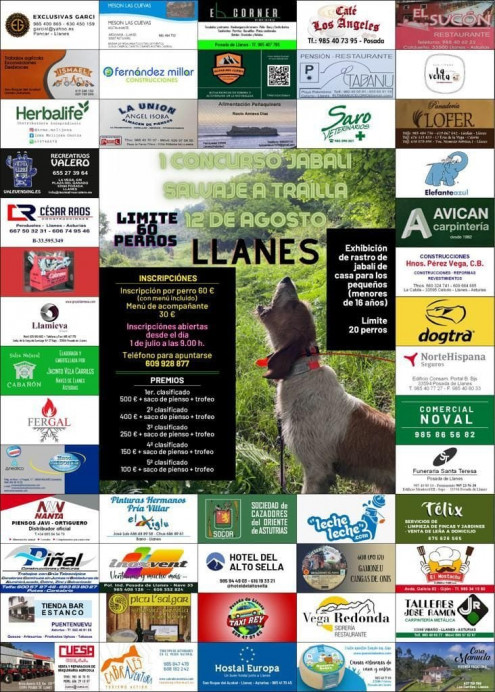 I Concurso de jabalí salvaje a traílla en Vibañu el sábado - Concejo de Llanes