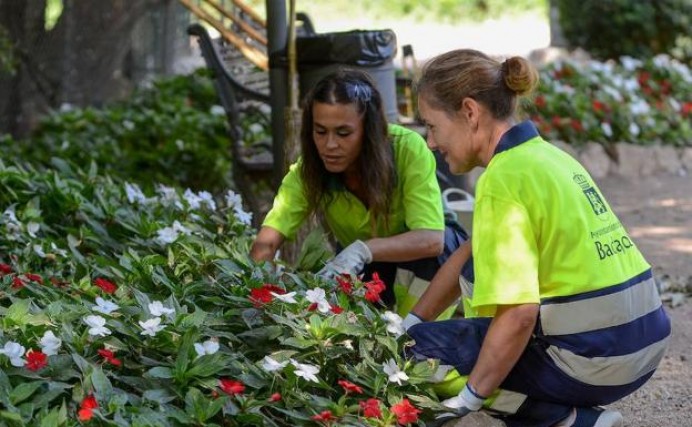 NP DEL PP DE VILLAVICIOSA: El Principado deniega a Villaviciosa el programa de empleo Actívate para el 2018 - Concejo de Villaviciosa