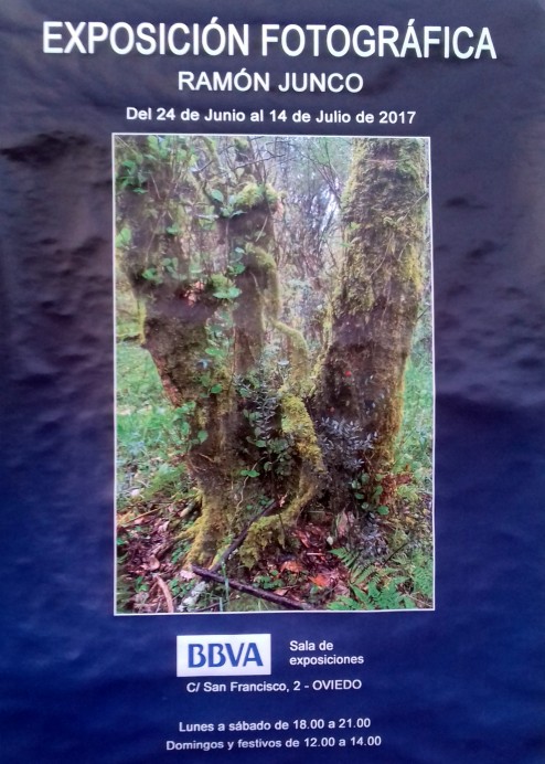 Exposición fotográfica de Ramón Junco - Arte