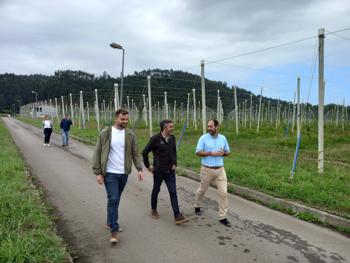 El Principado apoya con más de 8,5 millones los proyectos de 78 empresas para desarrollar productos agrícolas y tecnologías forestales - Asturias
