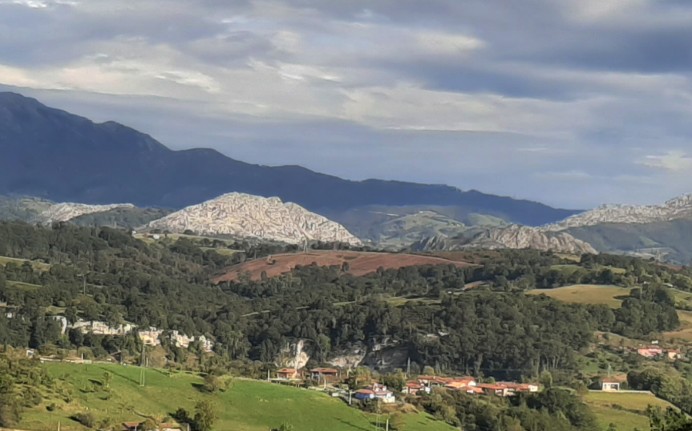 Ciudadanos Parres cuestiona la decisión del gobierno municipal en convertir La Toya en una explotación forestal - Concejo de Parres