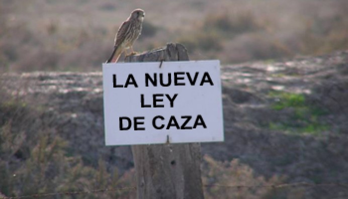 Comparecencias informativas de la Proposición de Ley de caza del Principado de Asturias - Caza y Pesca