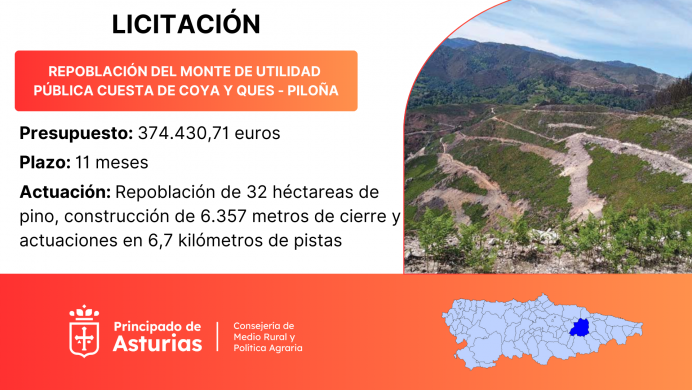 Medio Rural licita por 374.000 euros la repoblación del monte de utilidad pública Cuesta de Coya y Ques, en Piloña - Concejo de Piloña