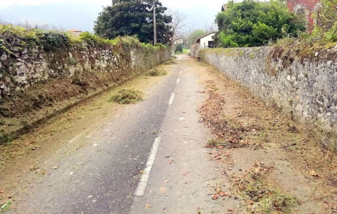 Plan Municipal de Limpieza de Pueblos, Concejo de Llanes - Concejo de Llanes
