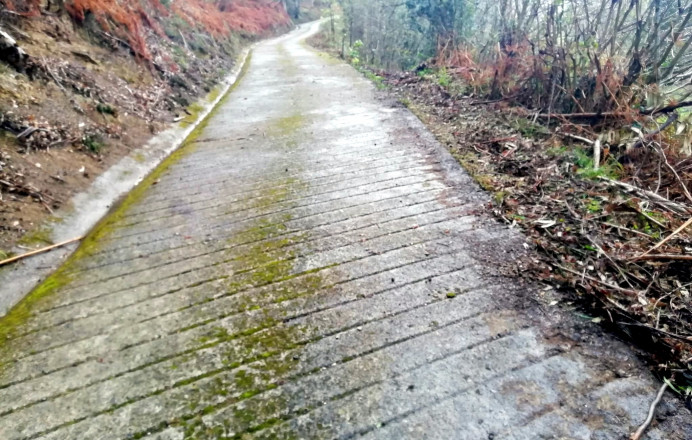 Campaña saneamiento ganadero para vacuno de Llanes - Concejo de Llanes