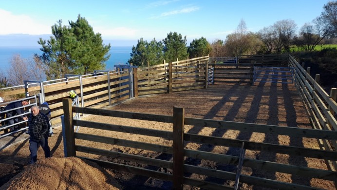 El Ayuntamiento de Llanes construirá una nueva manga ganadera en el río de Nueva - Concejo de Llanes