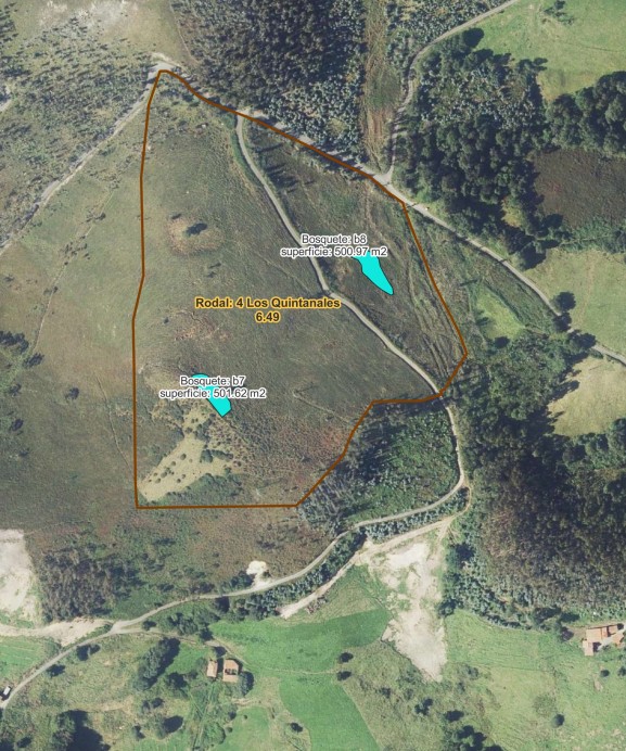 El Ayuntamiento de Llanes adjudica por 83.000 euros el servicio de mantenimiento de sistemas agroforestales y recuperación de pastizales degradados - Concejo de Llanes