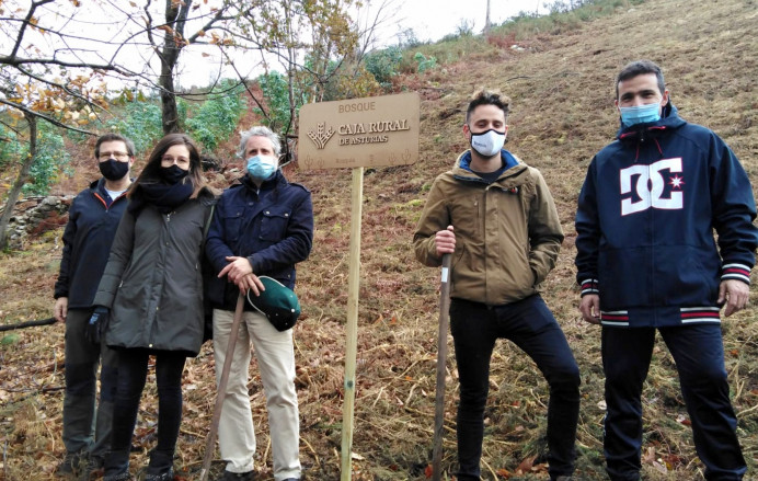 Llanes, plantados 450 árboles autóctonos en La Cuesta del Cristo - Concejo de Llanes