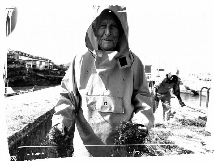 Exposición Lonja y actividad pesquera - Concejo de Llanes