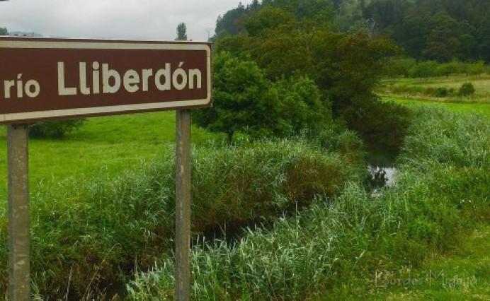 El Esmerillón suelta 9.000 alevines de trucha en dos ríos colungueses - Ecología y Medioambiente