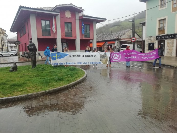 En Onís matan lobos mientras arde el monte - Ecología y Medioambiente