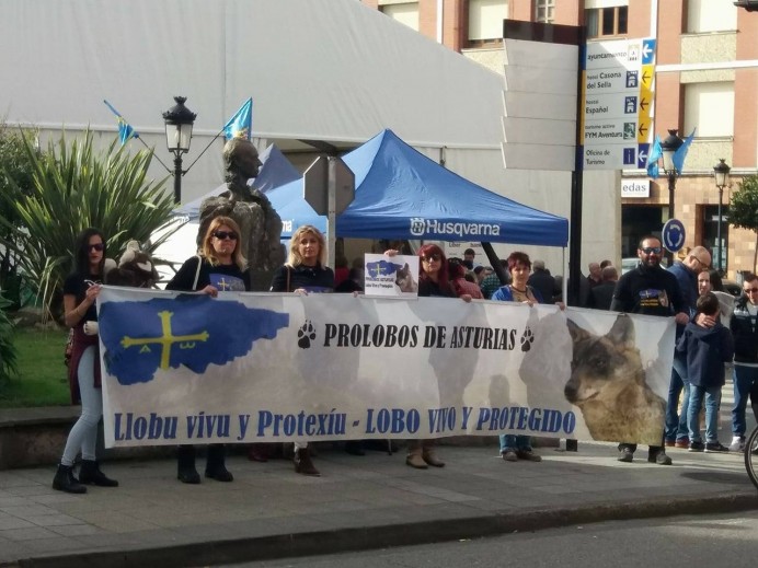 Nueva concentración de activistas contra las matanzas de lobo en Arriondas - Ecología y Medioambiente