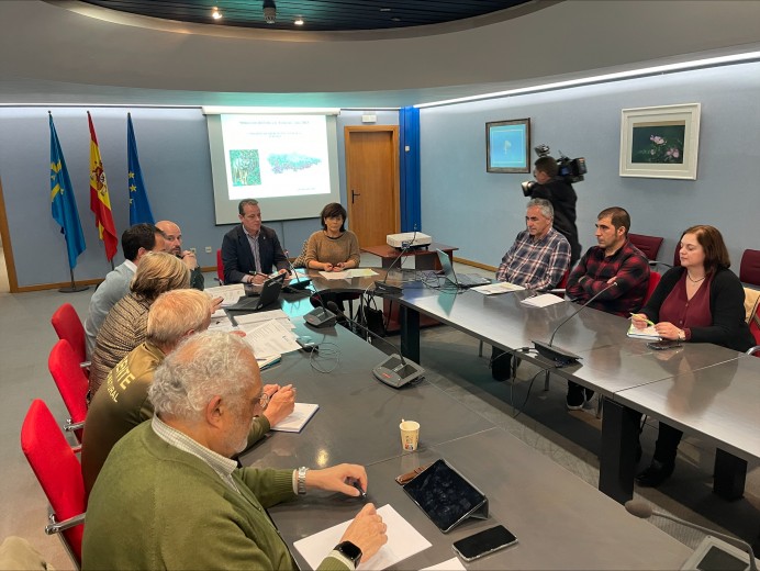 El Principado constata un incremento de la población de lobos, que alcanzaron las 43 manadas el año pasado - Asturias