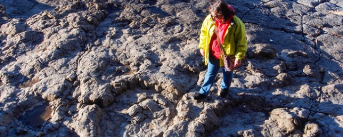 Visita a los yacimientos de la Playa de la Griega - Concejo de Colunga