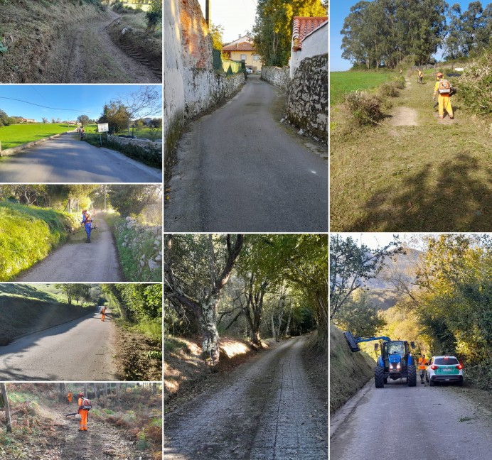 Avances del Plan Municipal de Desbroce en Llanes - Concejo de Llanes