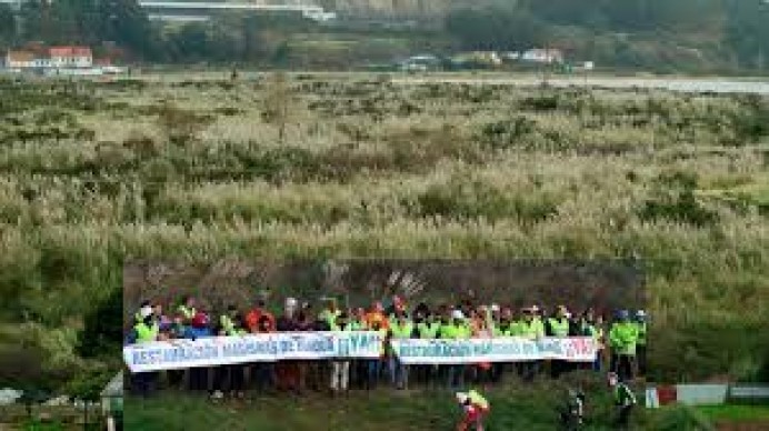 La Plataforma por la Recuperación de las Marismas de Maqua reclama la restauración urgente del humedal - Ecología y Medioambiente
