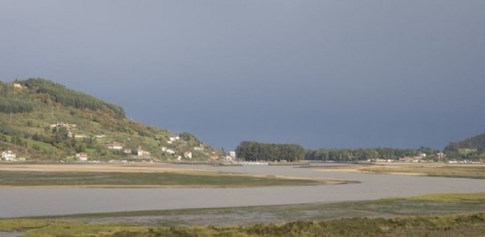 Sobre la sentencia a favor de los mariscadores de la Ría de Villaviciosa - Concejo de Villaviciosa